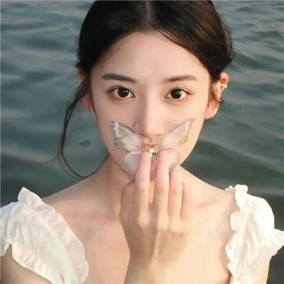 红纸鹤